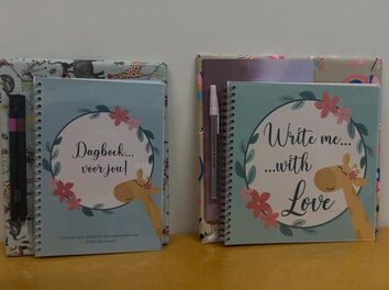 Pediatrische Intensieve Zorgen UZA (België)